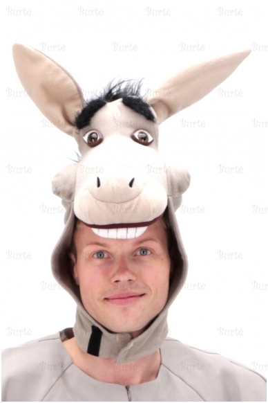 Asilo kaukė Asilo kaukė