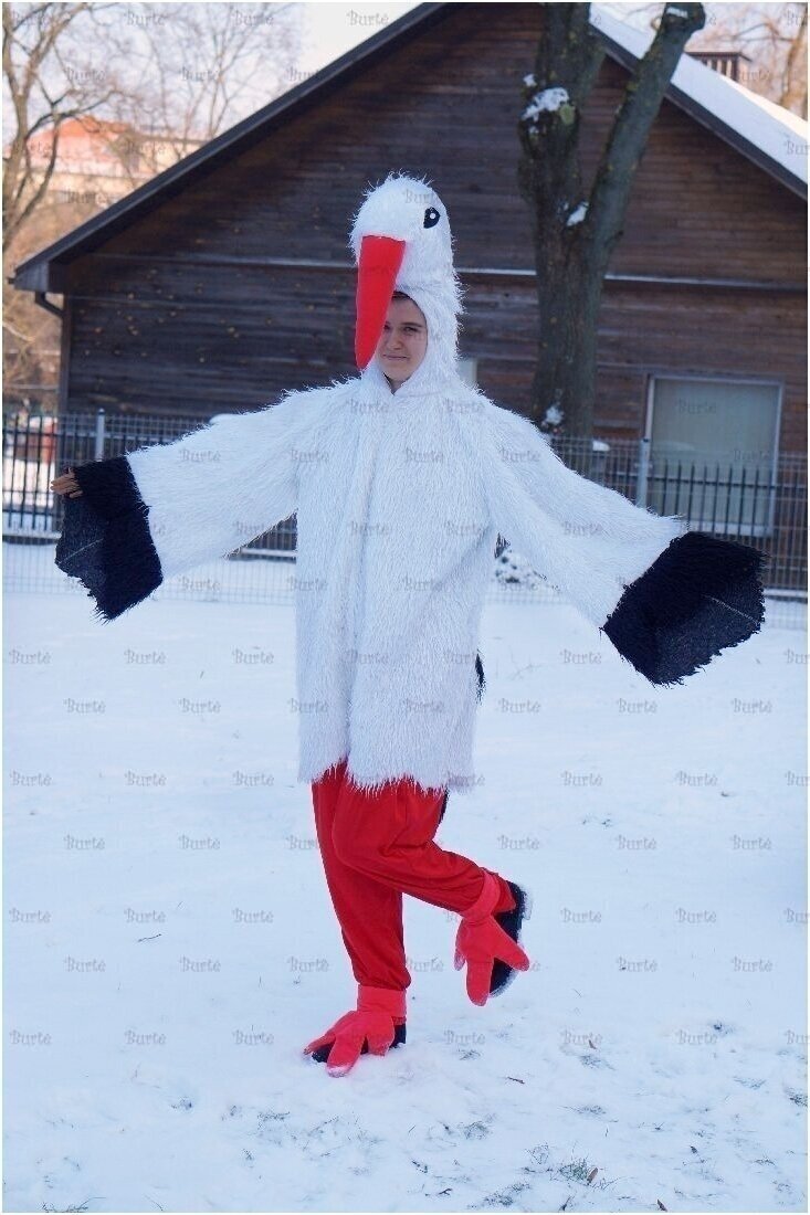 Gandro kostiumas
