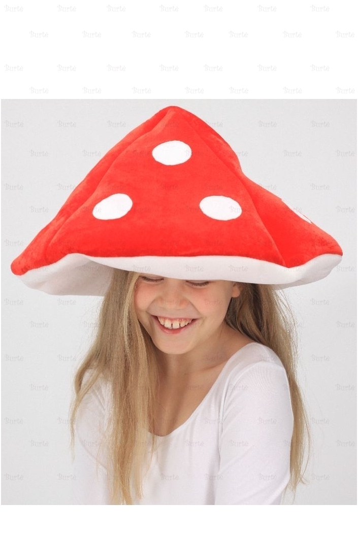 Musmirės kepurė 1