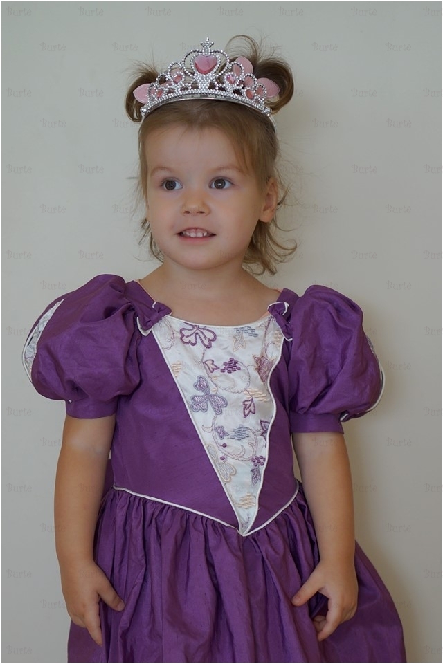 Princesės kostiumas 2