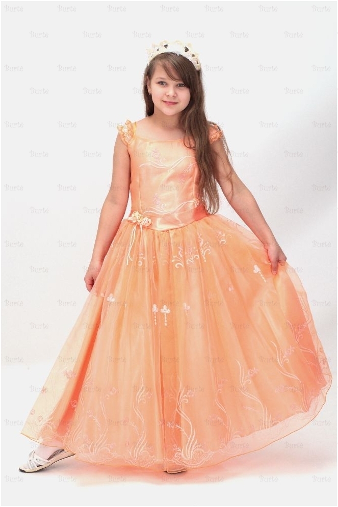 Princesės kostiumas Princesės kostiumas