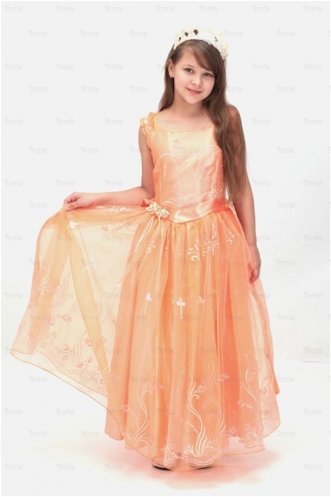 Princesės kostiumas 1 Princesės kostiumas 1